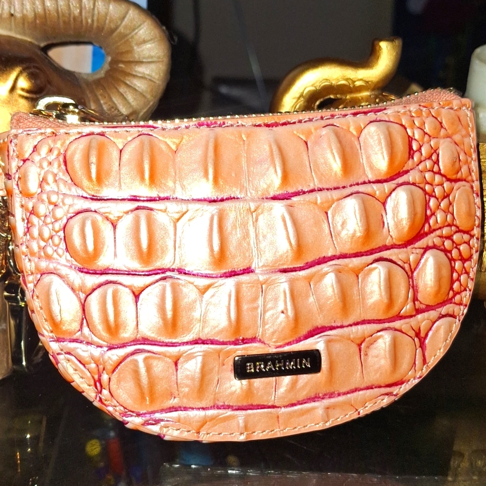 Brahmin Britt